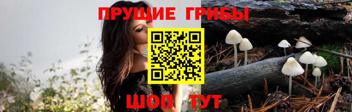 Еманжелинск  Галлюциногенные грибы мицелий  Вход с VPN 